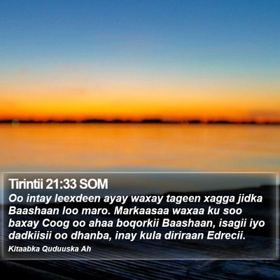 Tirintii 21:33 SOM Bible Verse Image