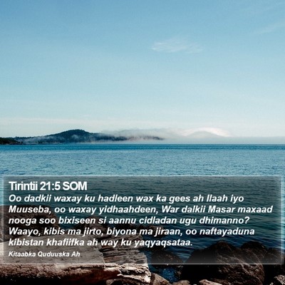 Tirintii 21:5 SOM Bible Verse Image