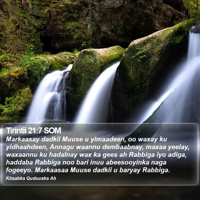 Tirintii 21:7 SOM Bible Verse Image