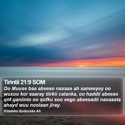 Tirintii 21:9 SOM Bible Verse Image