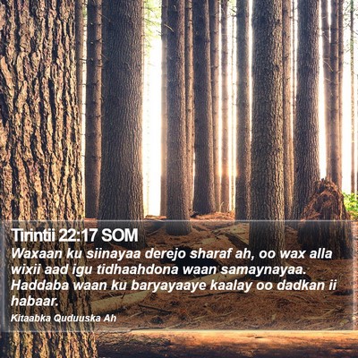 Tirintii 22:17 SOM Bible Verse Image