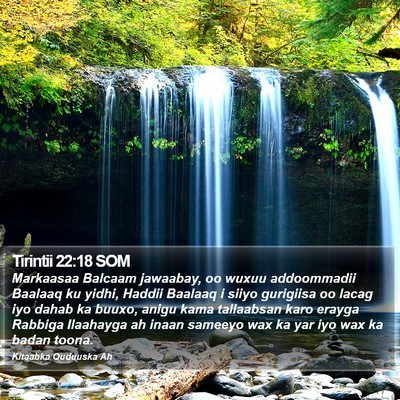 Tirintii 22:18 SOM Bible Verse Image