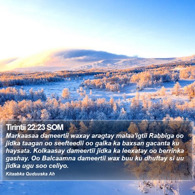 Tirintii 22:23 SOM Bible Verse Image