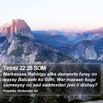 Tirintii 22:28 SOM Bible Verse Image
