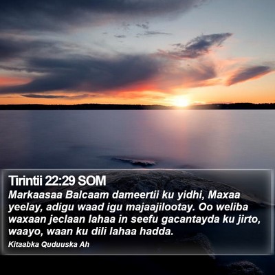 Tirintii 22:29 SOM Bible Verse Image