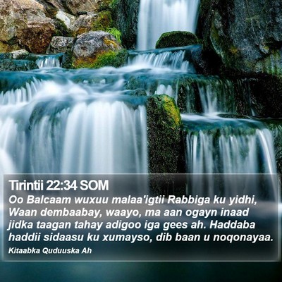 Tirintii 22:34 SOM Bible Verse Image