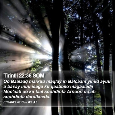 Tirintii 22:36 SOM Bible Verse Image
