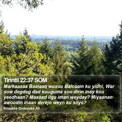 Tirintii 22:37 SOM Bible Verse Image