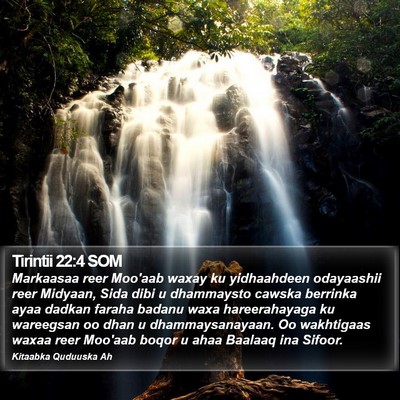 Tirintii 22:4 SOM Bible Verse Image