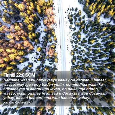 Tirintii 22:6 SOM Bible Verse Image