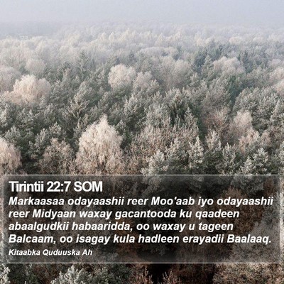 Tirintii 22:7 SOM Bible Verse Image