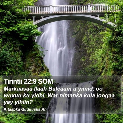 Tirintii 22:9 SOM Bible Verse Image