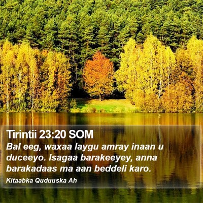 Tirintii 23:20 SOM Bible Verse Image