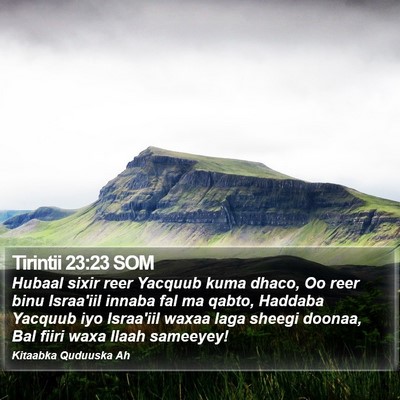 Tirintii 23:23 SOM Bible Verse Image