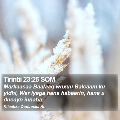 Tirintii 23:25 SOM Bible Verse Image