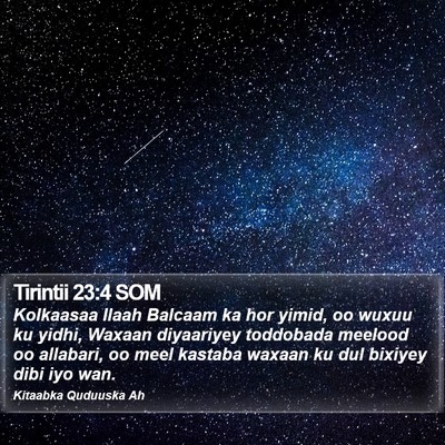 Tirintii 23:4 SOM Bible Verse Image