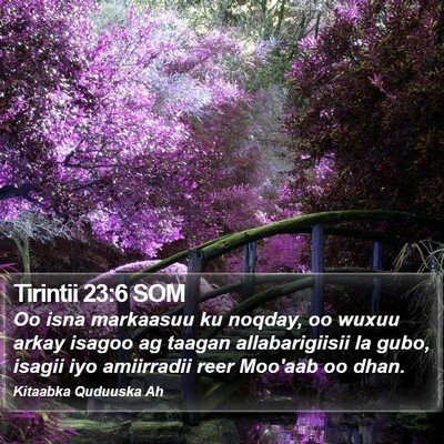 Tirintii 23:6 SOM Bible Verse Image