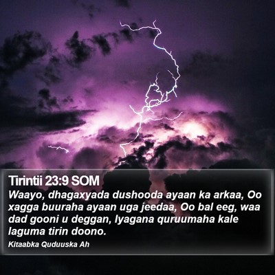 Tirintii 23:9 SOM Bible Verse Image