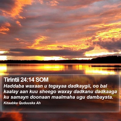 Tirintii 24:14 SOM Bible Verse Image