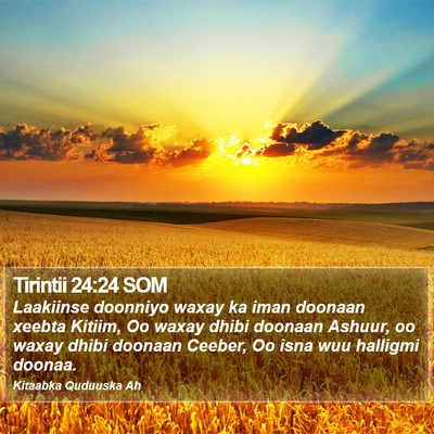 Tirintii 24:24 SOM Bible Verse Image