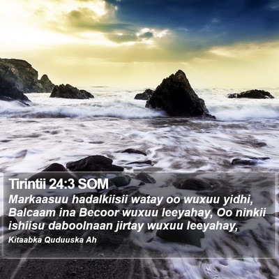 Tirintii 24:3 SOM Bible Verse Image