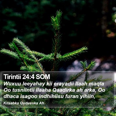 Tirintii 24:4 SOM Bible Verse Image