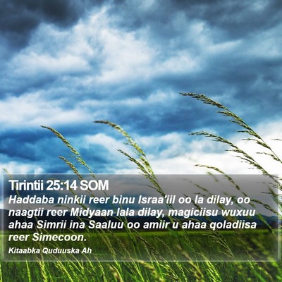 Tirintii 25:14 SOM Bible Verse Image