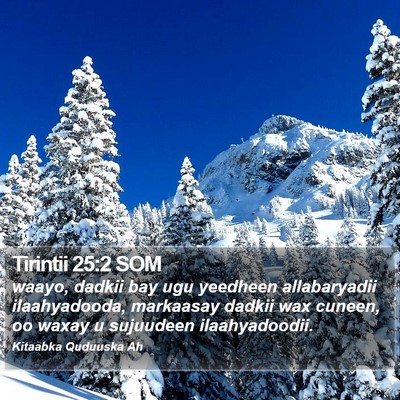 Tirintii 25:2 SOM Bible Verse Image
