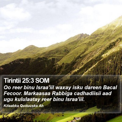 Tirintii 25:3 SOM Bible Verse Image