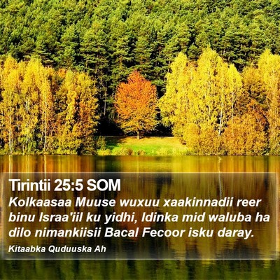 Tirintii 25:5 SOM Bible Verse Image