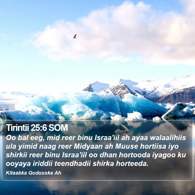Tirintii 25:6 SOM Bible Verse Image