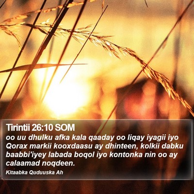 Tirintii 26:10 SOM Bible Verse Image