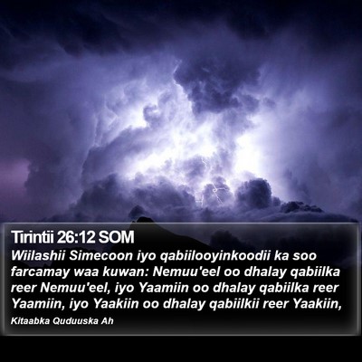 Tirintii 26:12 SOM Bible Verse Image