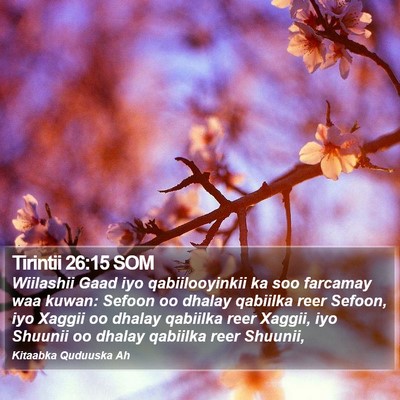 Tirintii 26:15 SOM Bible Verse Image