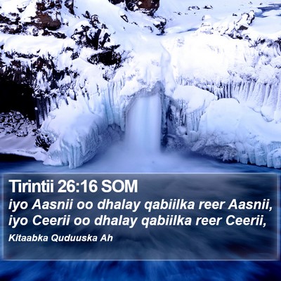 Tirintii 26:16 SOM Bible Verse Image