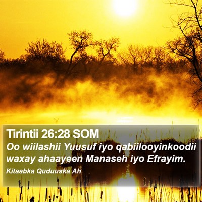 Tirintii 26:28 SOM Bible Verse Image