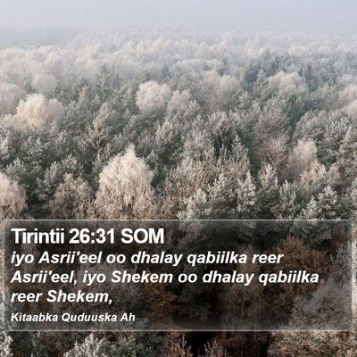 Tirintii 26:31 SOM Bible Verse Image
