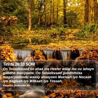 Tirintii 26:33 SOM Bible Verse Image