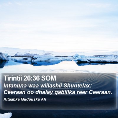 Tirintii 26:36 SOM Bible Verse Image