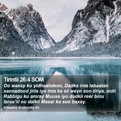 Tirintii 26:4 SOM Bible Verse Image
