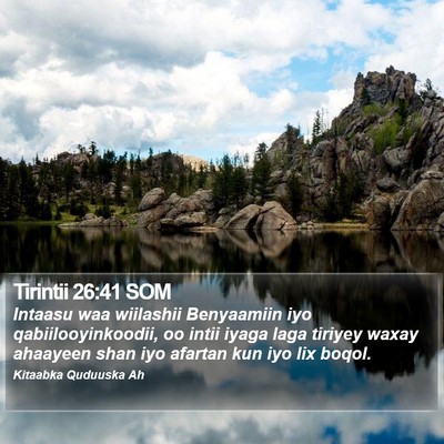 Tirintii 26:41 SOM Bible Verse Image