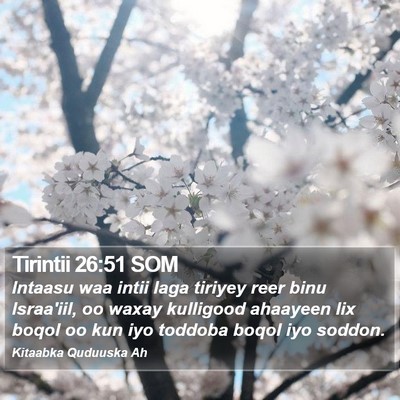Tirintii 26:51 SOM Bible Verse Image
