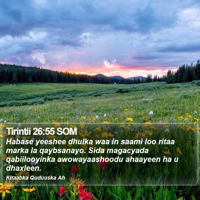 Tirintii 26:55 SOM Bible Verse Image