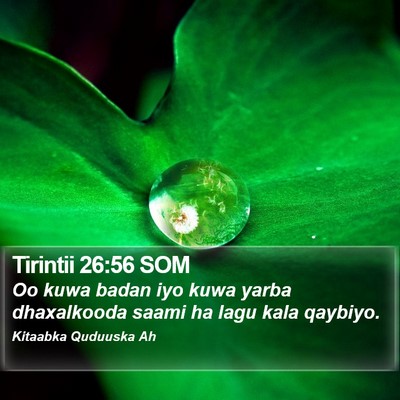 Tirintii 26:56 SOM Bible Verse Image