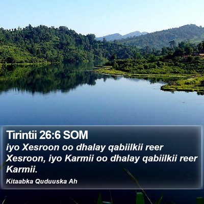 Tirintii 26:6 SOM Bible Verse Image