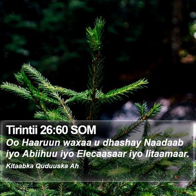 Tirintii 26:60 SOM Bible Verse Image