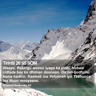 Tirintii 26:65 SOM Bible Verse Image