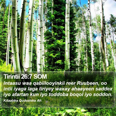 Tirintii 26:7 SOM Bible Verse Image