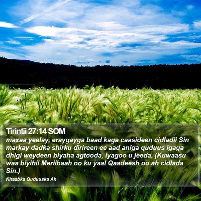 Tirintii 27:14 SOM Bible Verse Image