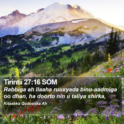 Tirintii 27:16 SOM Bible Verse Image